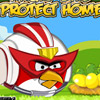 ANGRY BIRD PROTECT HOME